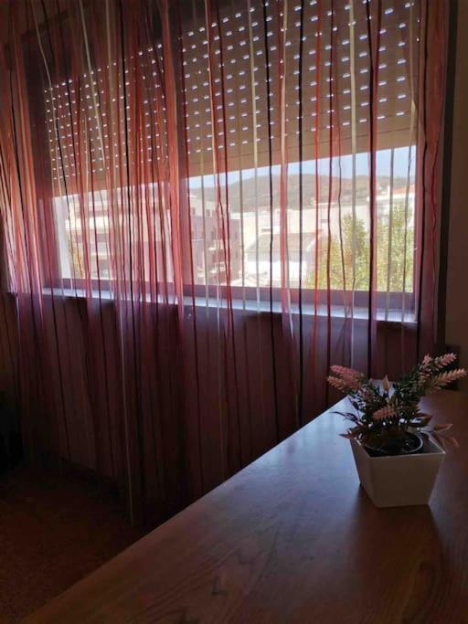 Appartement Cardoso House Vpa à Vila Praia de Âncora Extérieur photo